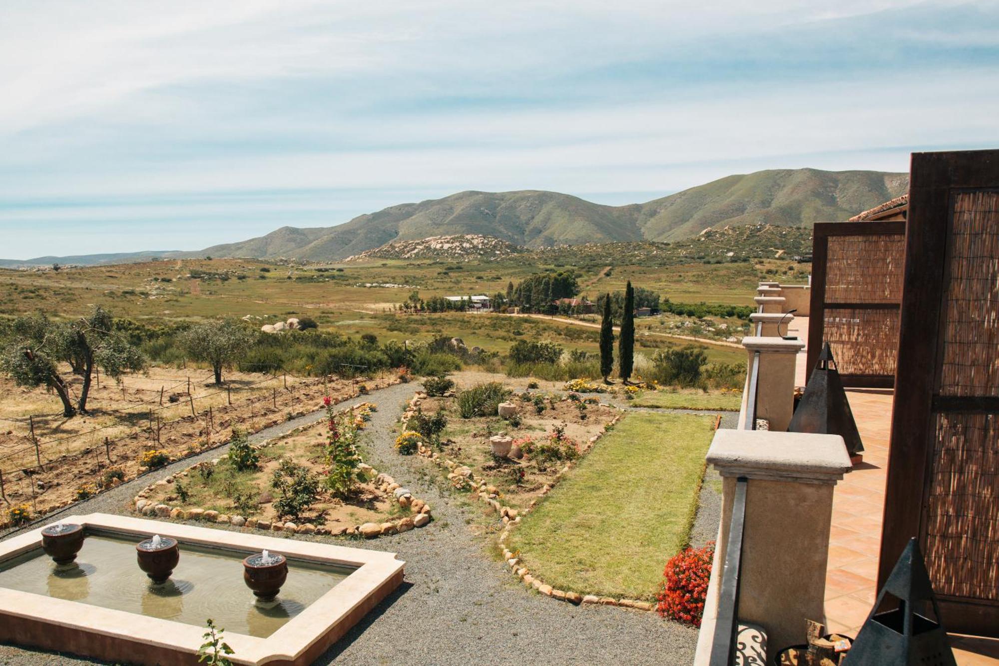 La Villa Del Valle Valle de Guadalupe Room photo